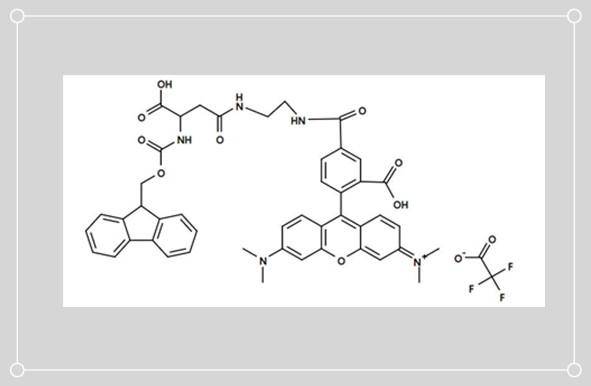 5-TAMRA Asp，5-TAMRA标记天冬氨酸， 是制备蛋白偶联物的重要荧光基团