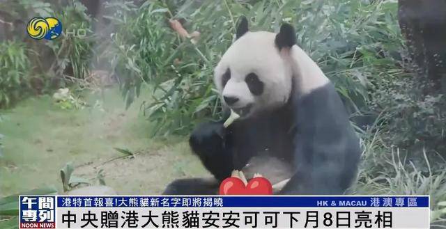 今天全世界都在看的新闻2024.11.27