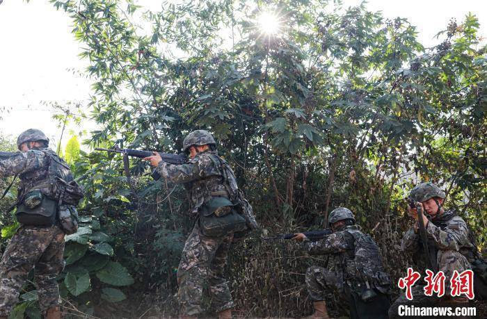 广西钦州武警官兵开展山林地捕歼战斗演练