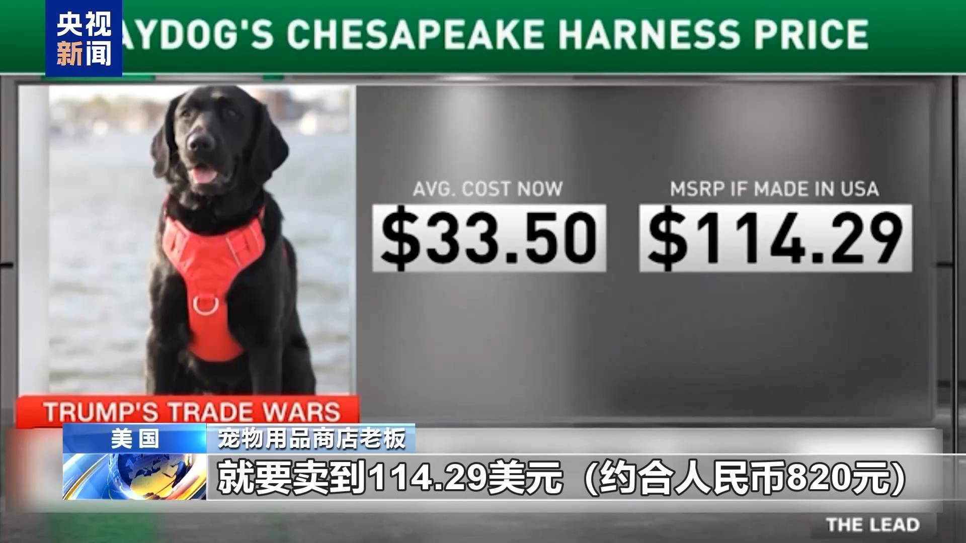 手机买不起、炸鸡吃不起、宠物养不起？这届美国人活得好难