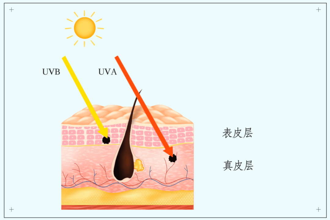 烈日炎炎，快收下这份“晒后急救手册”→