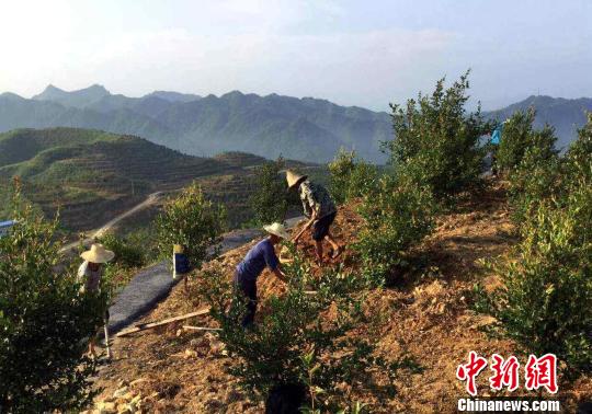 万轩贵金属(万轩建筑工程有限公司)