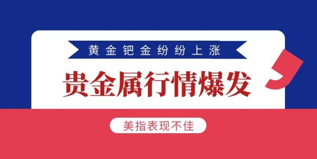 盈动力贵金属(盈动控股有限公司)