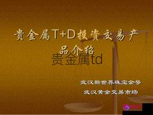 贵金属交易盘(贵金属交易视频讲解)