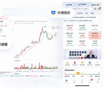 园泰贵金属(圆泰项链图片)