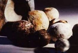 南非贵金属(南非金矿品位)