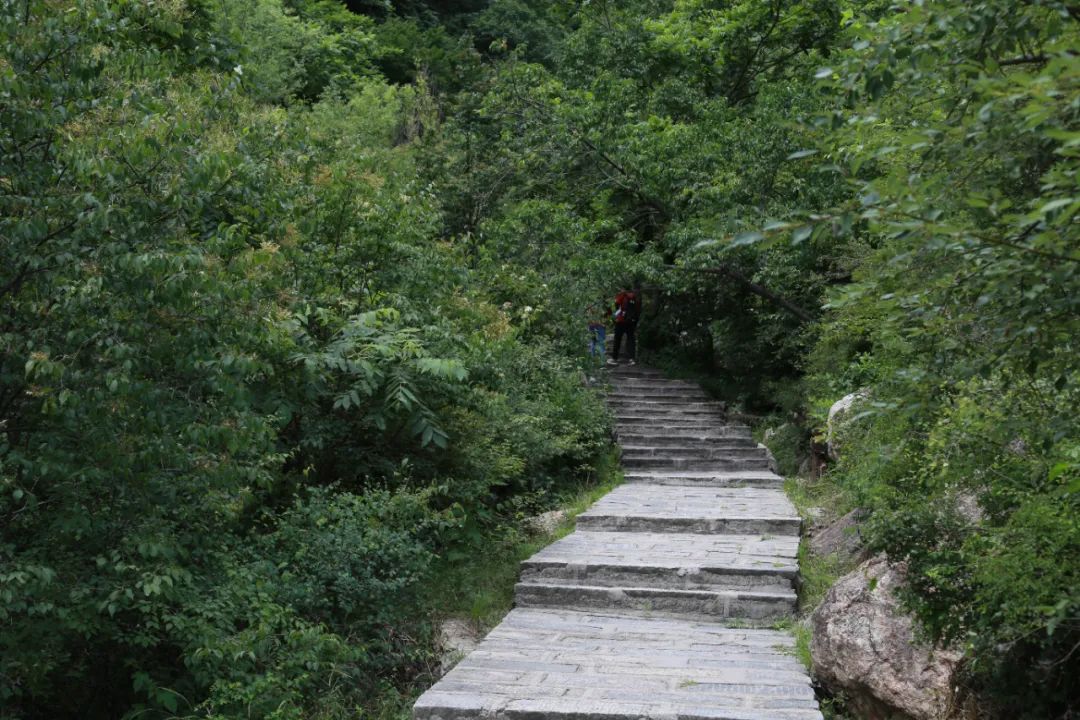 佰达贵金属(佰达首饰器材)