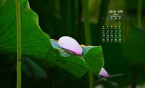 盈动力贵金属(盈动力北京大数据科技发展有限公司)